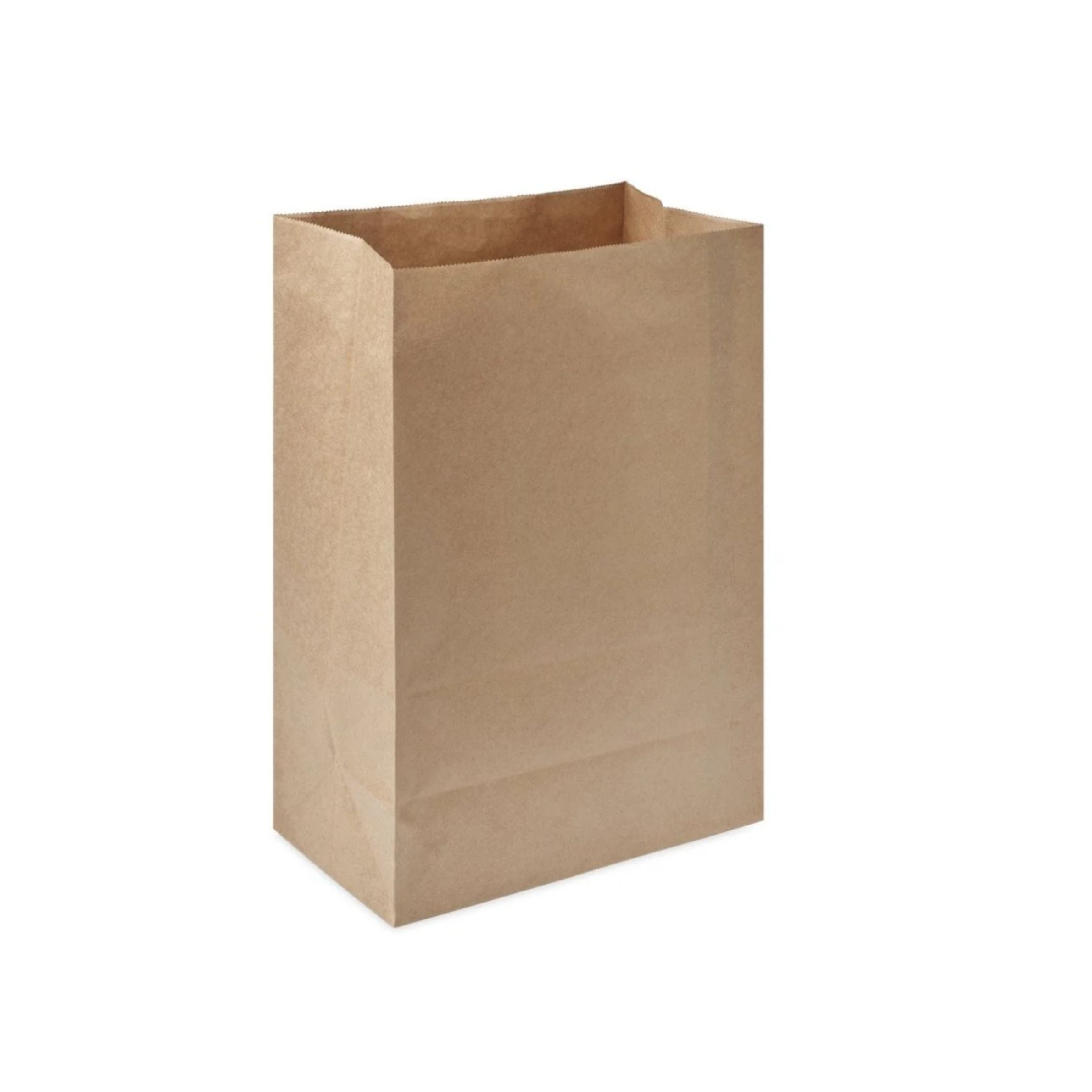 Medium Kraft Block Bottom Grab Bags