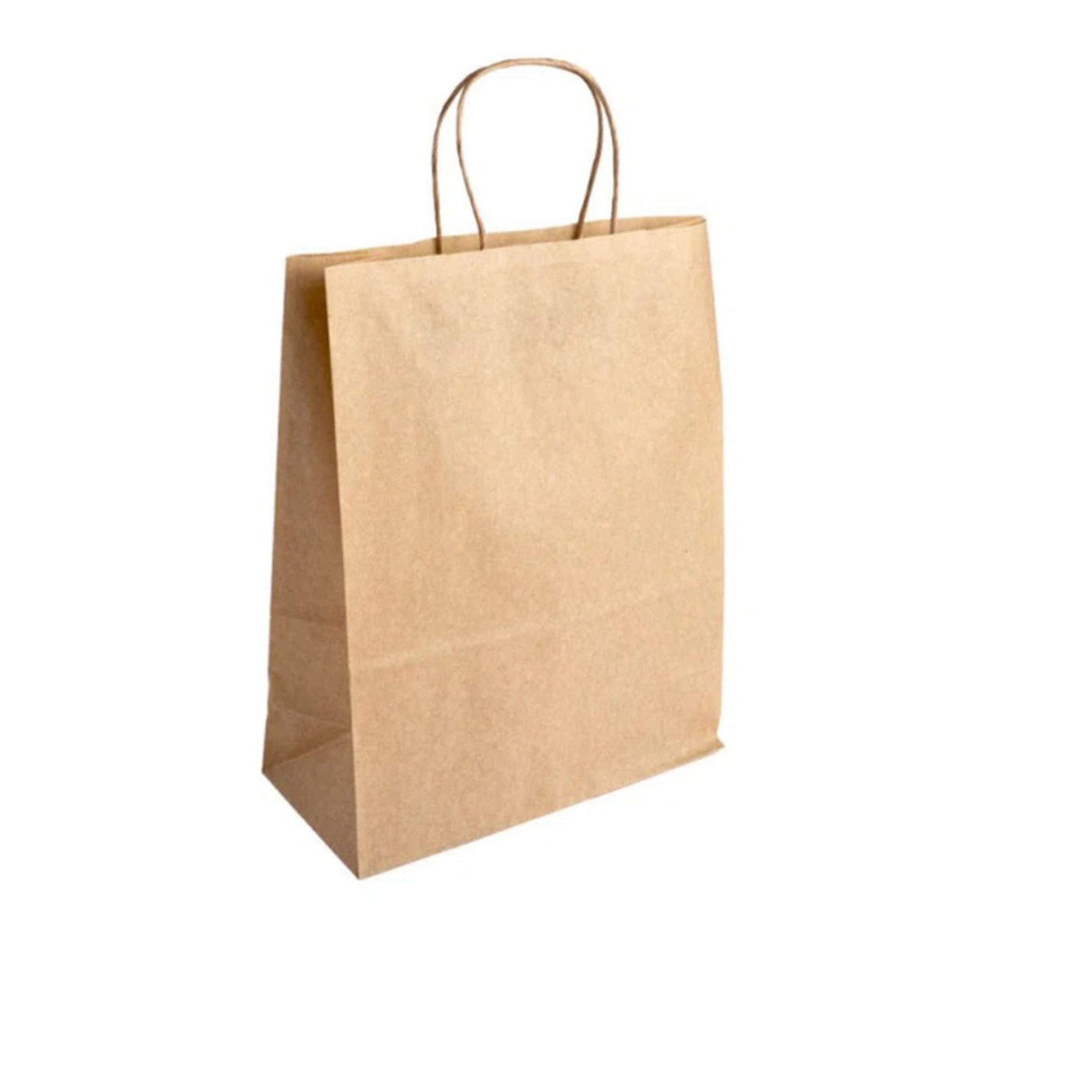 Large Kraft Paper Carrier Bags - Twist Handle