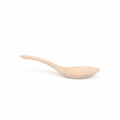 BioCane Orietnal Spoons