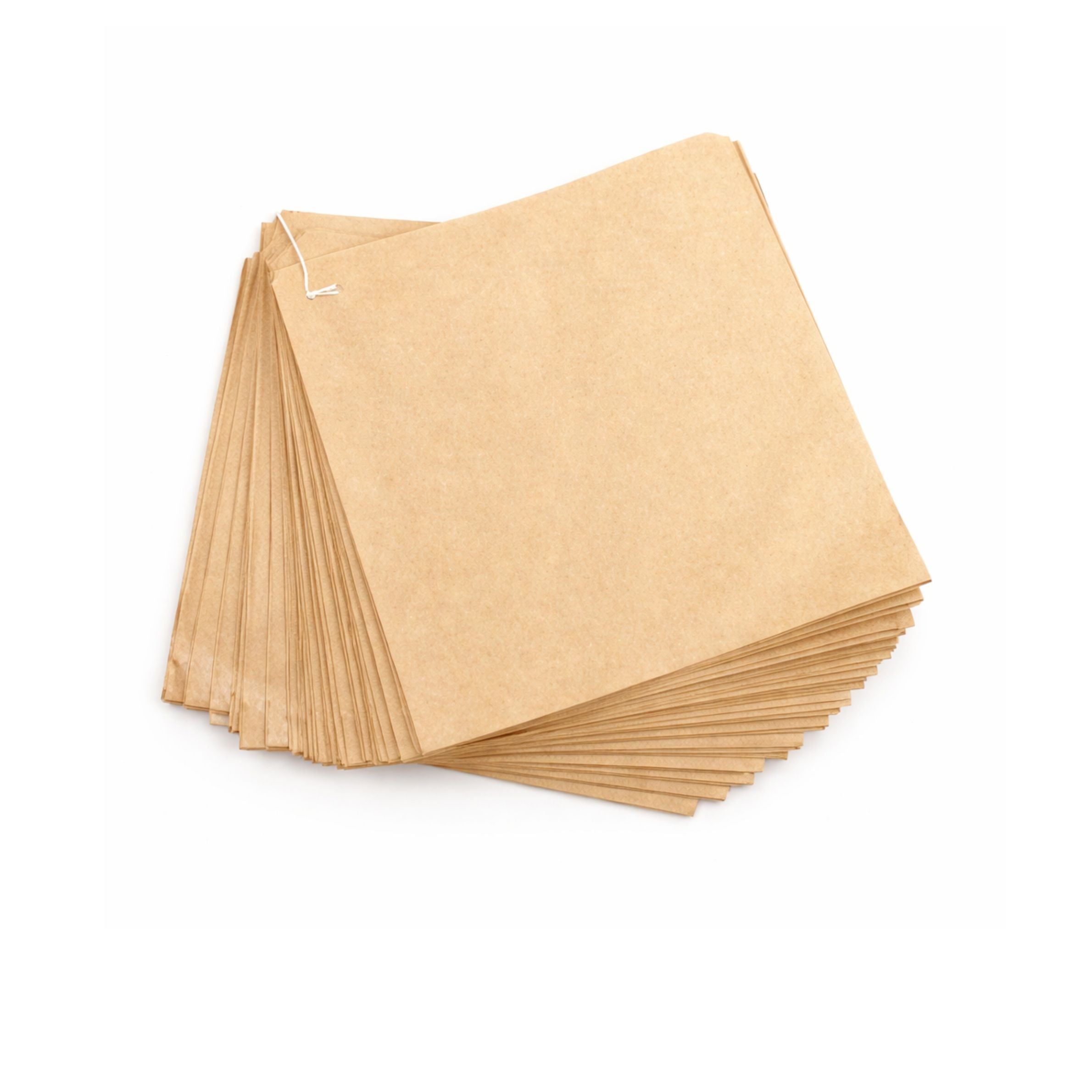 Kraft Square Paper Bags 10 x 10"