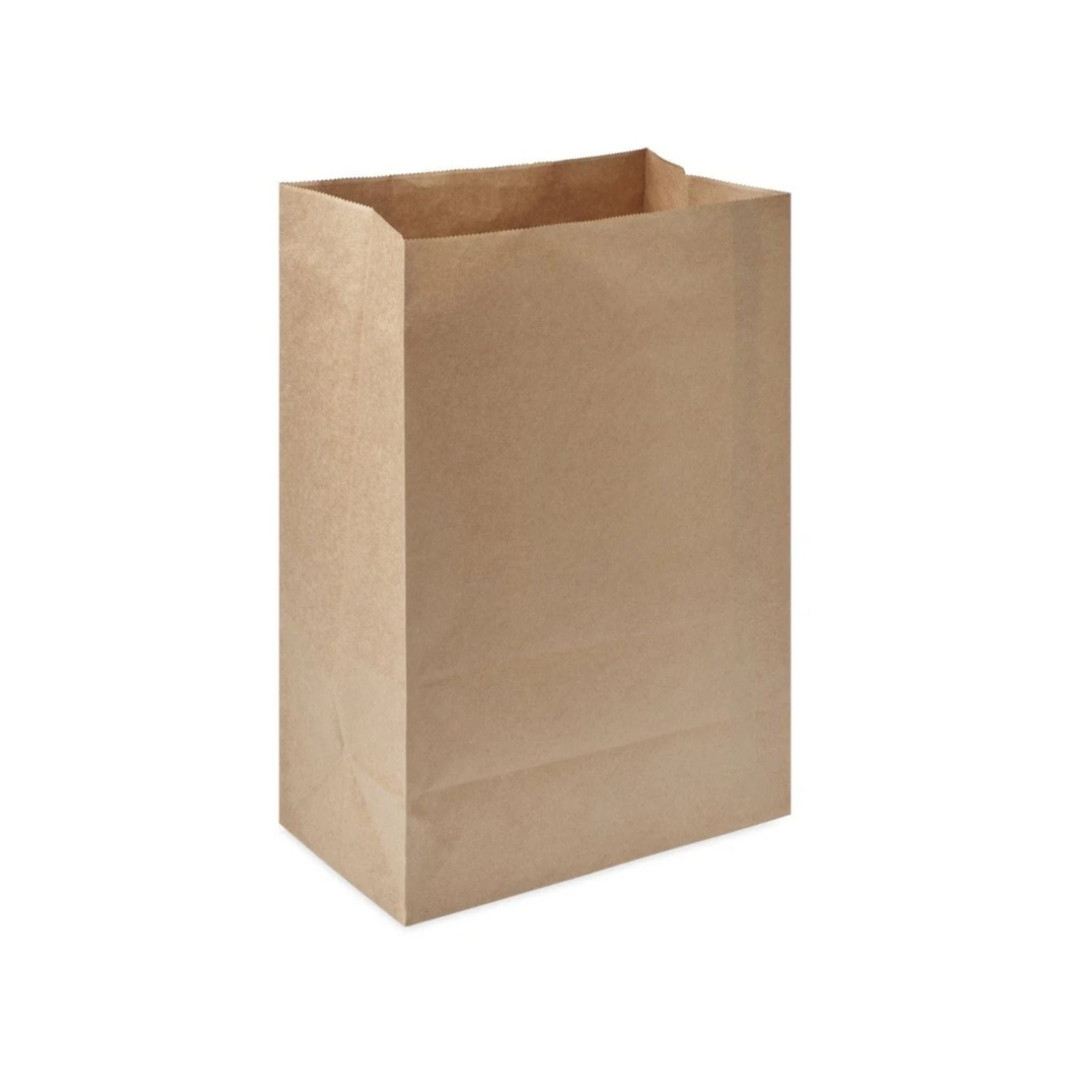 Large Kraft Block Bottom Grab Bags