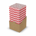 Red Stripe Paper Straws 8"