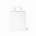 Large White Paper Bags - Flat Handle