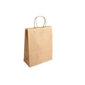 Small Kraft Paper Carrier Bags - Twist Handle